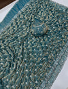Space Sattin Dual Shad Saree