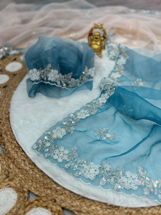 Soft Shiney Organza Saree