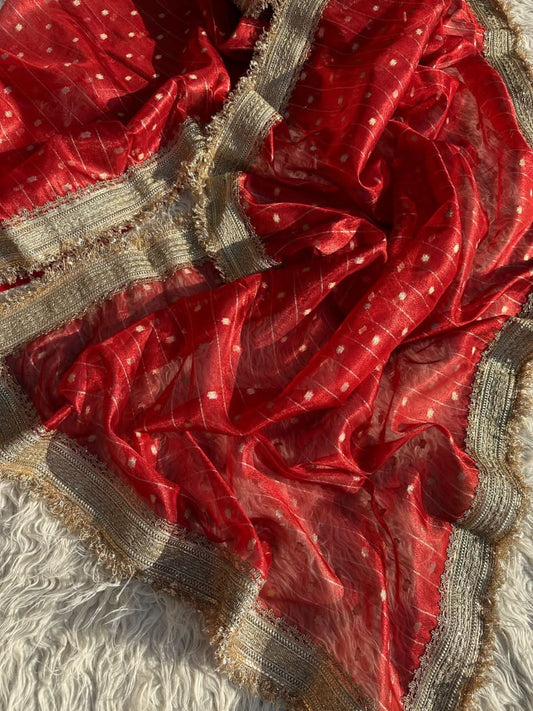 Banarasi tissue organza saree