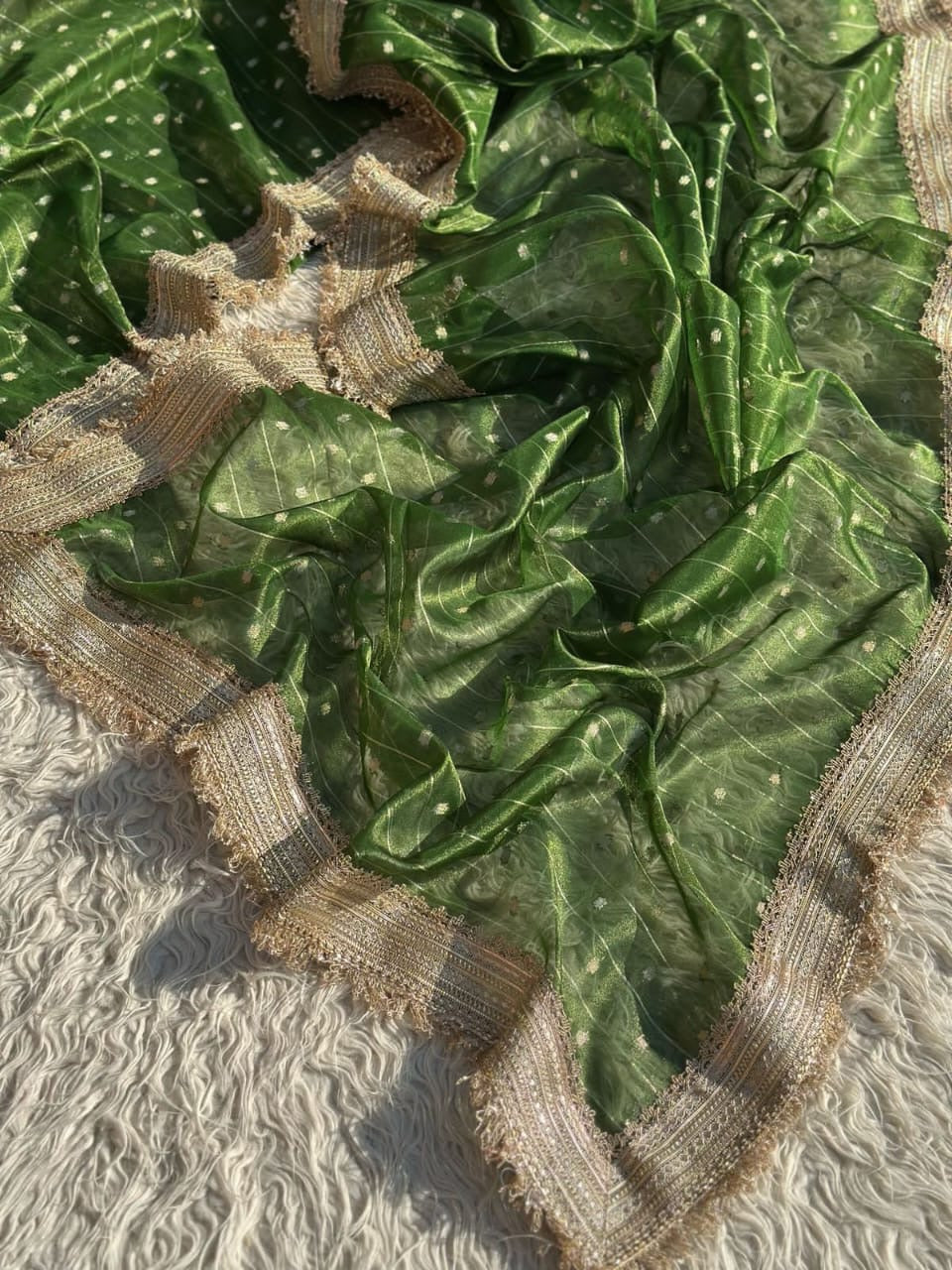 Banarasi tissue organza saree