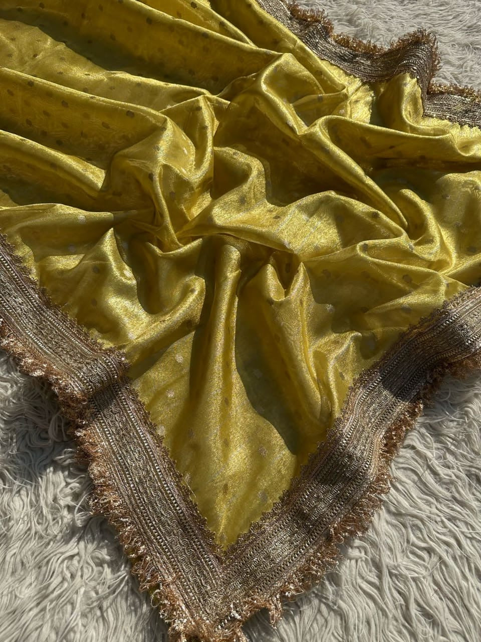 Banarasi tissue organza saree