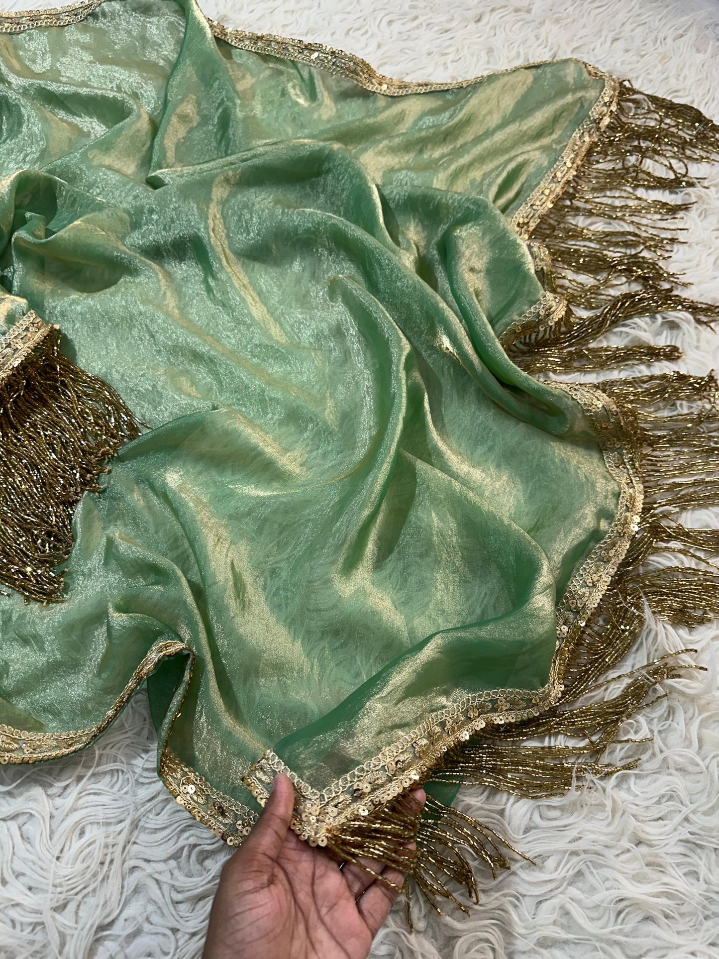 Banarasi tissue silk saree
