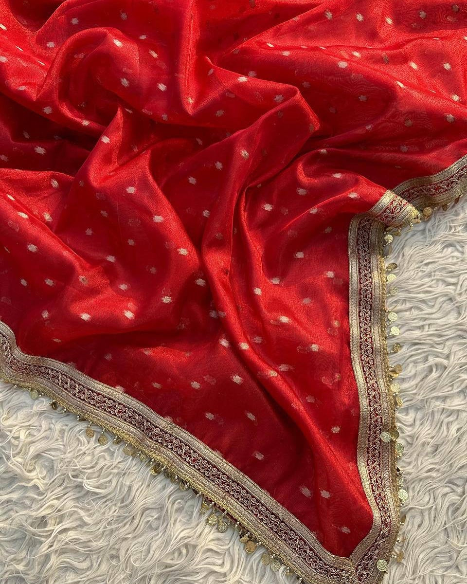 BANARASI SOFT BLOOD RED TISSUE SILK SAREE