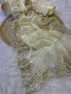 Organza Saree
