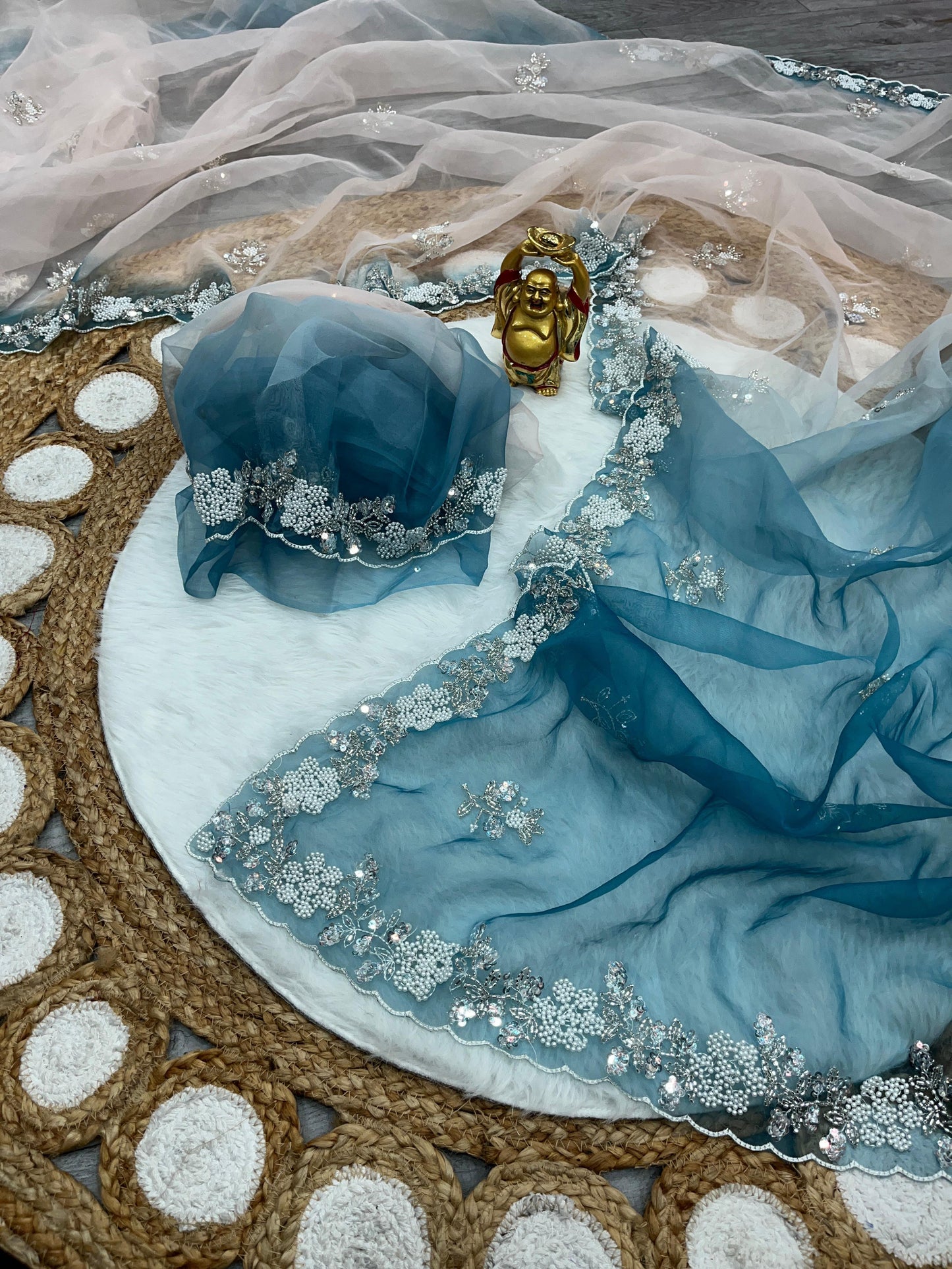 Soft Shiney Organza Saree