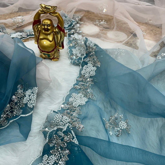 Soft Shiney Organza Saree
