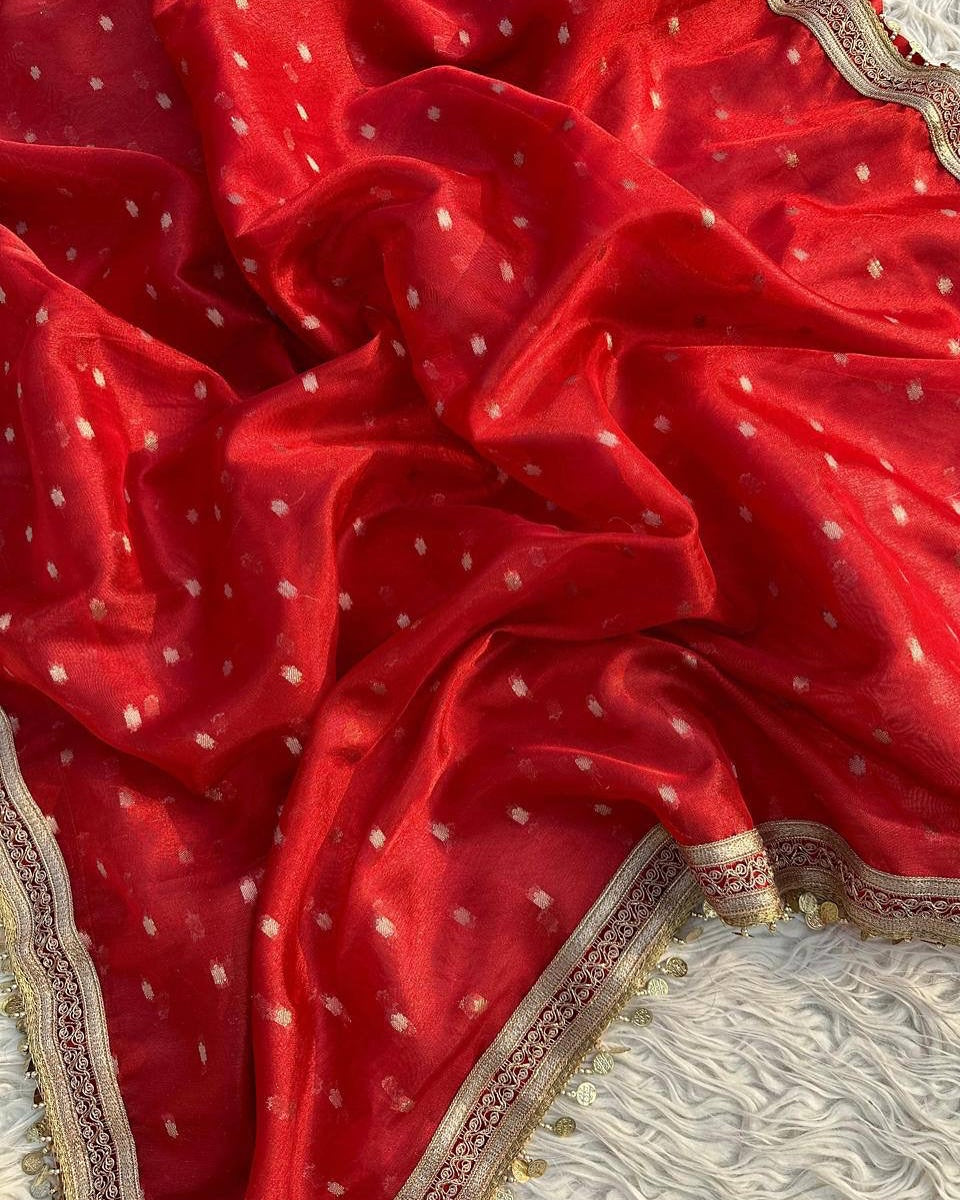 BANARASI SOFT BLOOD RED TISSUE SILK SAREE
