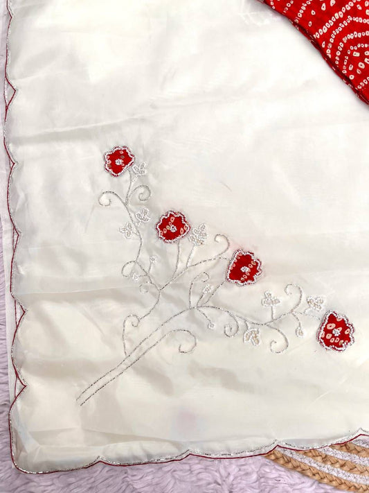 Chiffon Crystal Saree